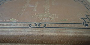 Ausgewahlte Novelletten 1881 Buch