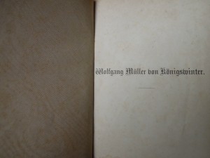 Der Zauberer Merlin 1871 Buch