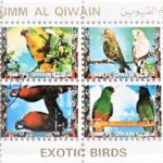 Exotic birds mini stamps sheet UAE Umm Al Qiwain Briefmarken