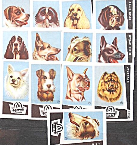 Dog matchbox label Drava Osijek