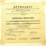 Petrosani Actiuni 500 Lei 1931 Certificat Provizoriv Bucuresti Romania