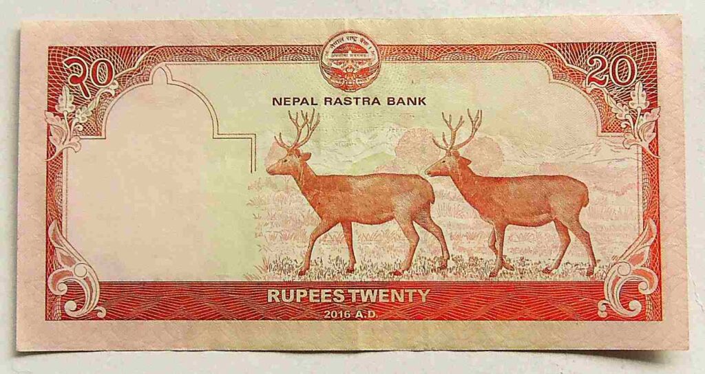 20 Rupees Nepal banknote paper money