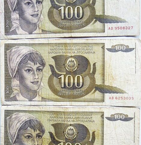 100 Dinar Jugoslavija 1991 Papiergeld Jugoslawien Paper money Yugoslavia